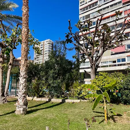 Relax Y Confort, Reformado Con Piscina Apartment